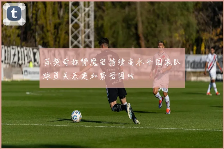 苏契奇称赞魔笛持续高水平国家队球员关系更加紧密团结